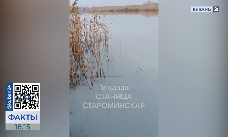    Видео канала «Кубань 24»