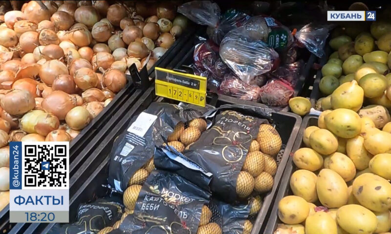    Видео канала «Кубань 24»