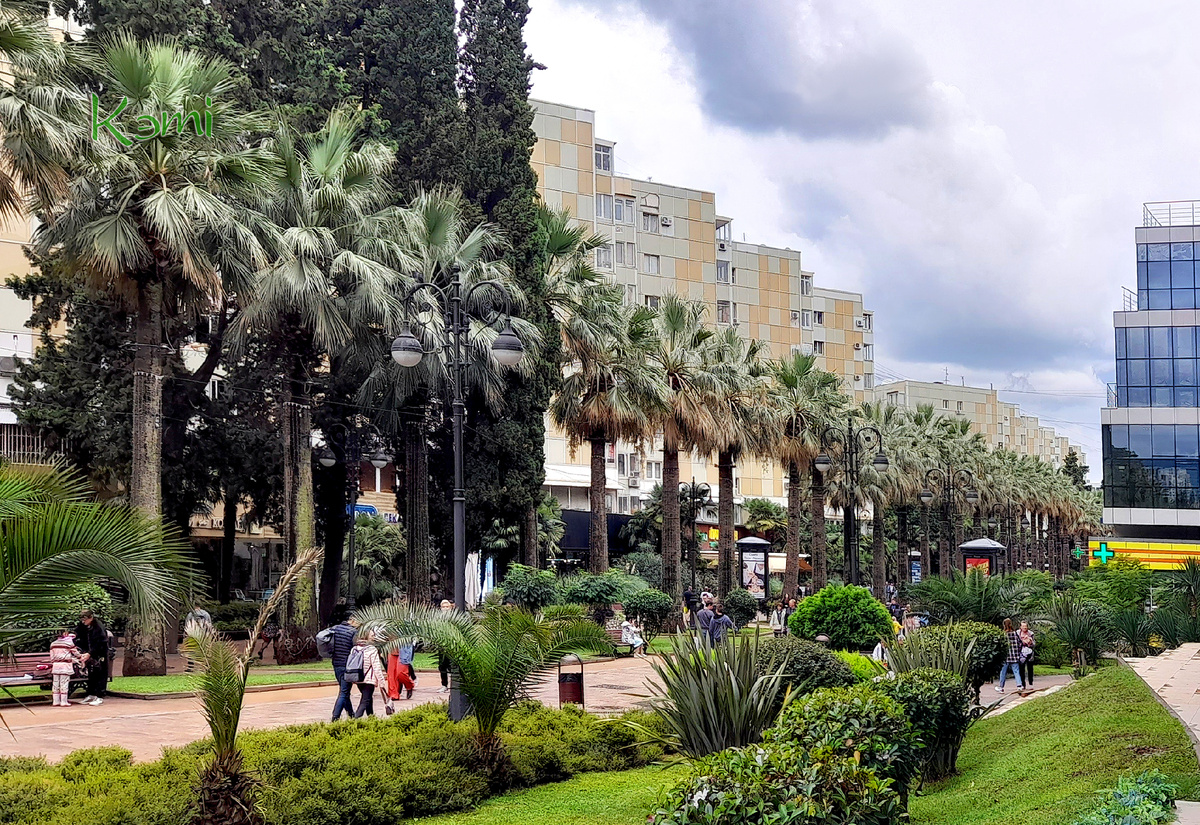 Сочи очень зеленый город. Навагинская улица в Сочи всегда красиво оформлена.