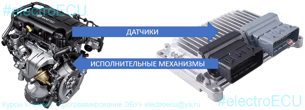 Связь ЭБУ и ДВС