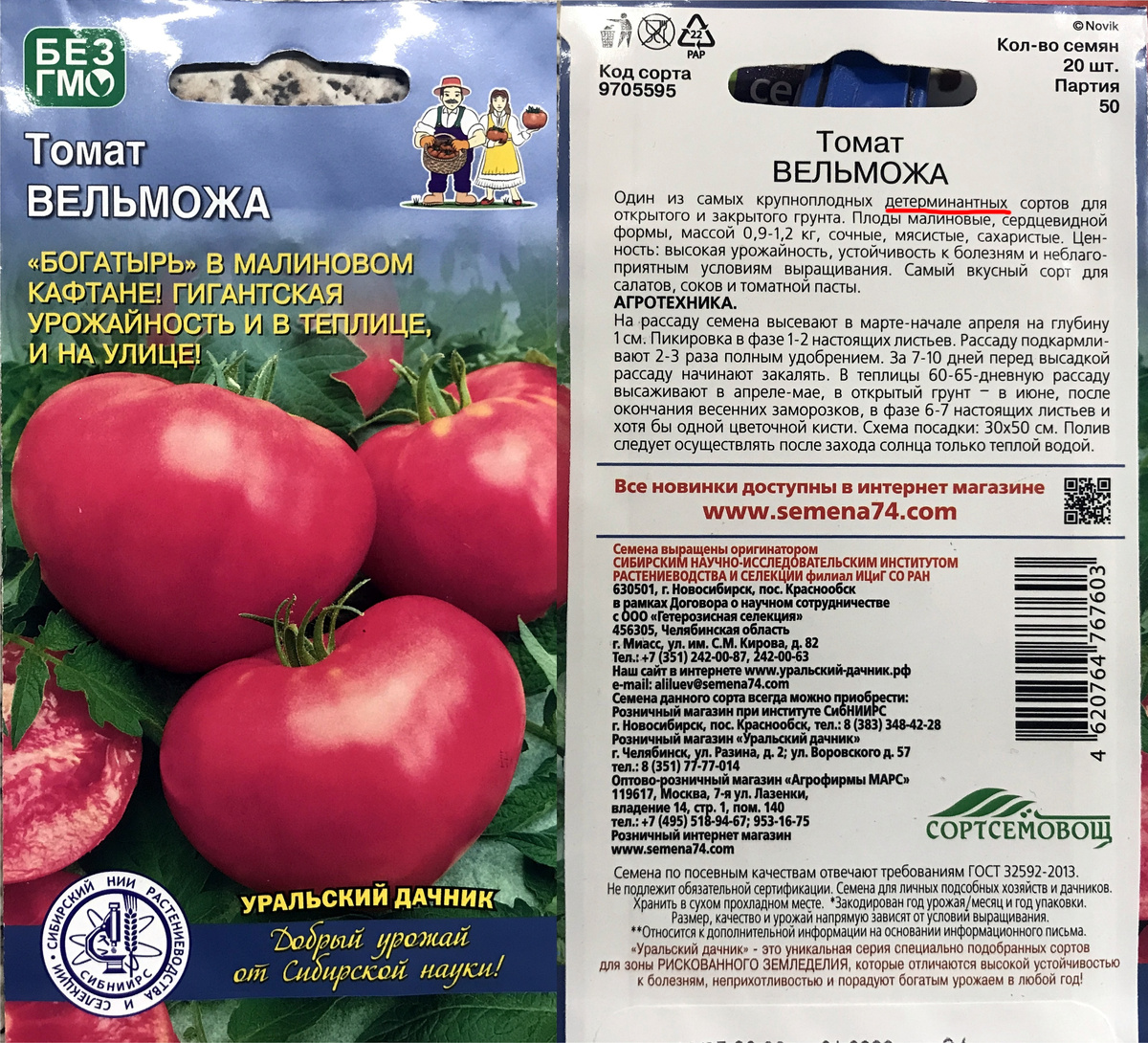 (фото автора)