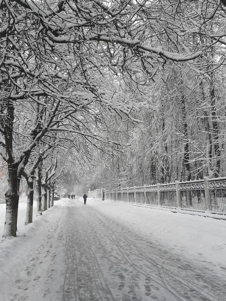 Фото автора