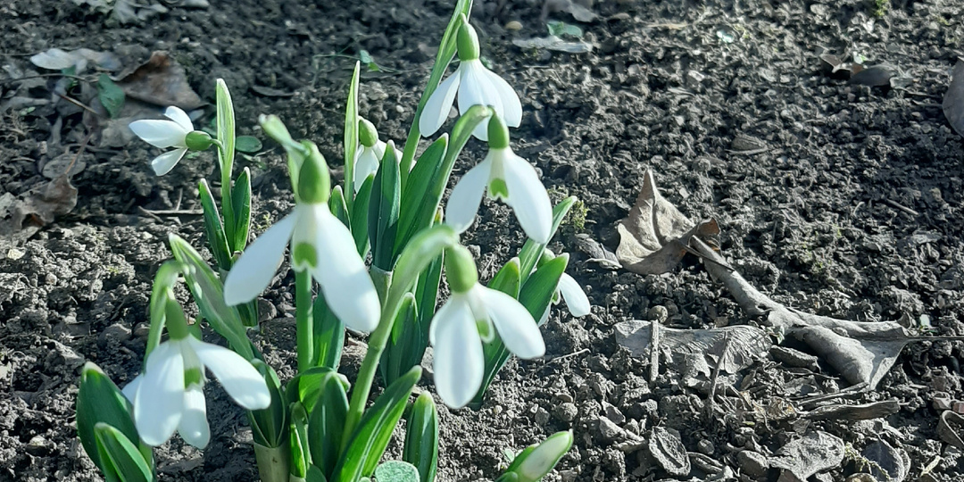 Куда мы обязательно заезжаем в Крыму даже зимой! Рассказываю про интересные места столицы полуострова.