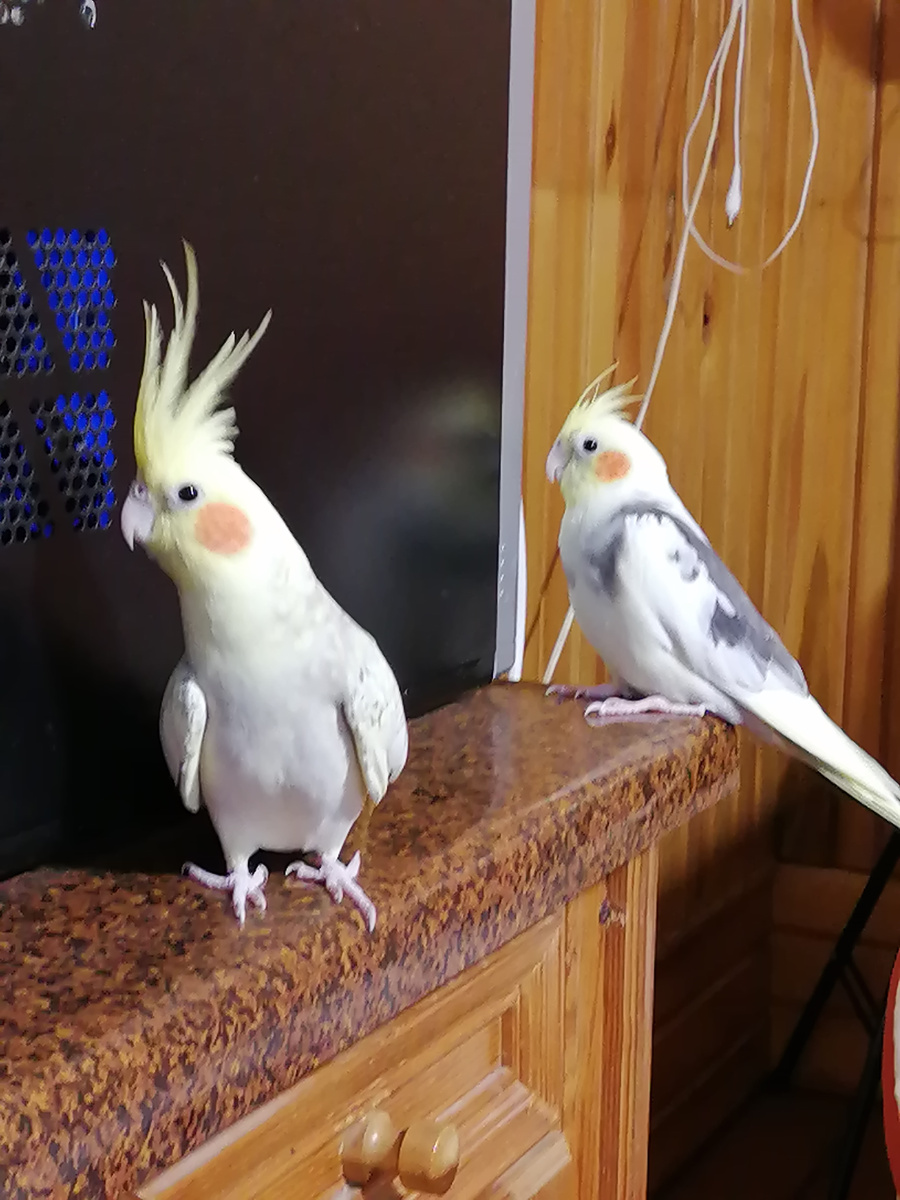 Соня такая красотка. 