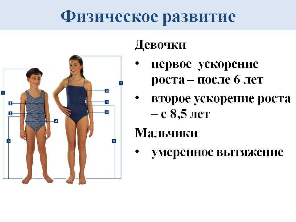 Этапы полового развития мальчика. Половое развитие девочек. Стадии полового развития мальчика. Признаки полового созревания у мальчиков. Особенности полового развития мальчиков.