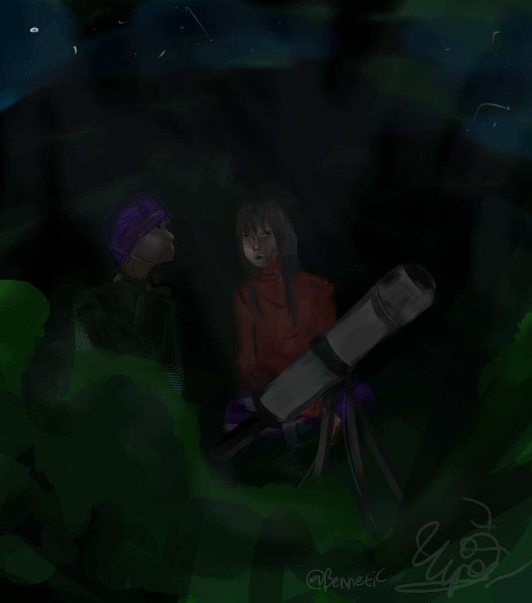 Наблюдающие за звездами