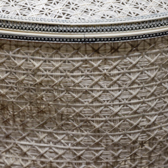 Трудно поверить, но это полоски из слоновой кости