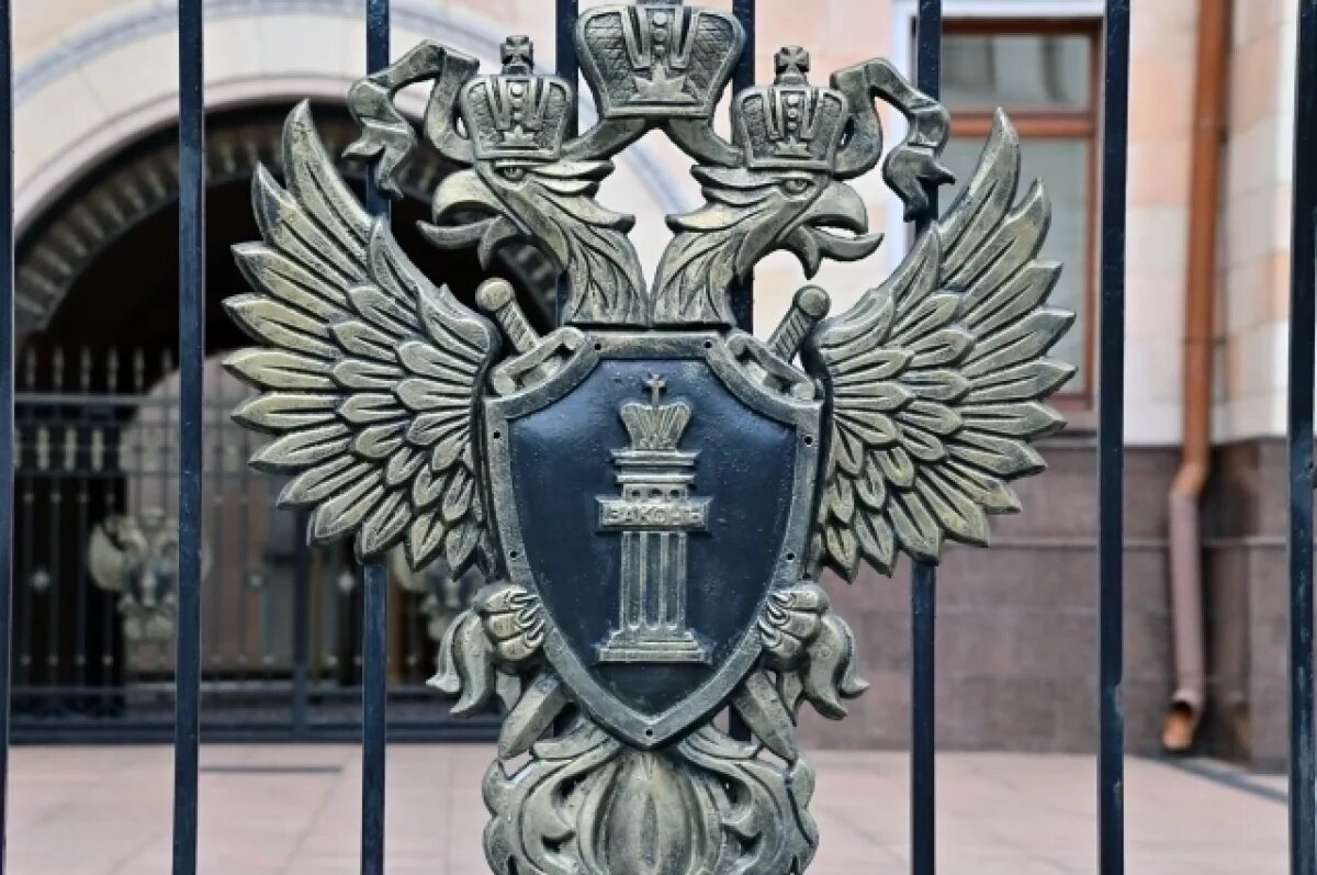    Генпрокуратура РФ проводит проверку по поводу действий Чубайса