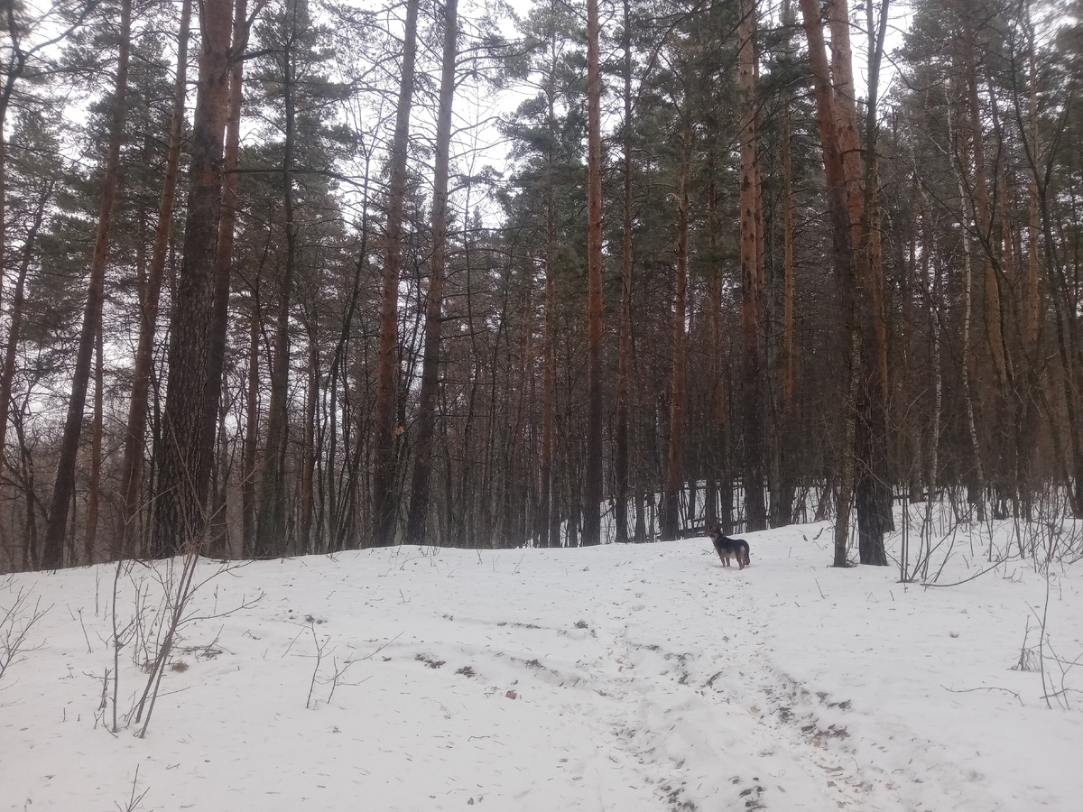 Грета идет в воде