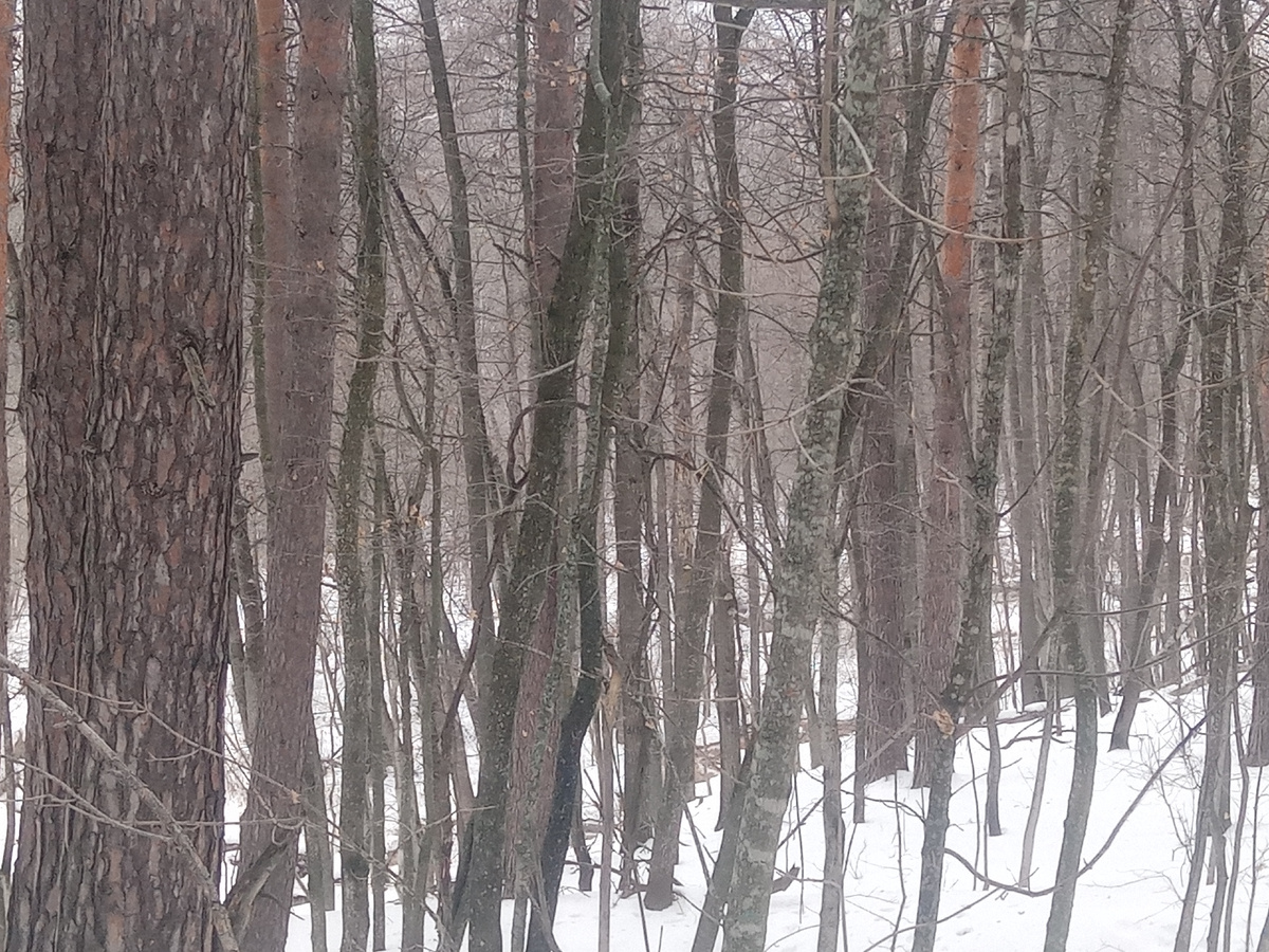 А вот и Карабулак