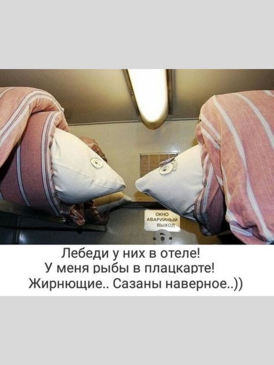 scale_1200