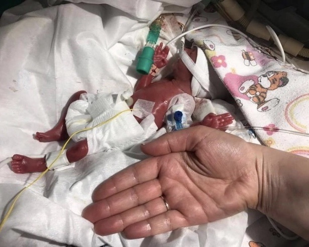 Фото из открытых источников 