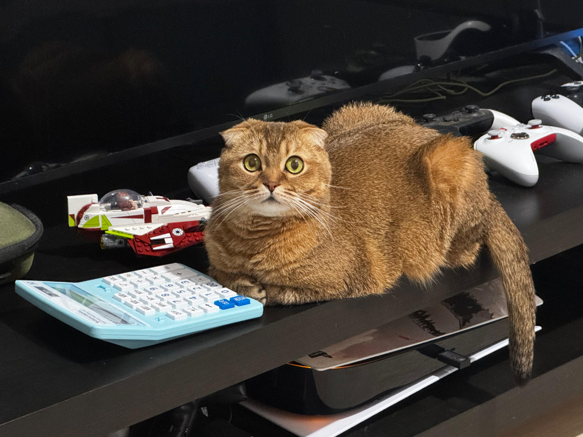 Мэй Ли (фото из личного архива)