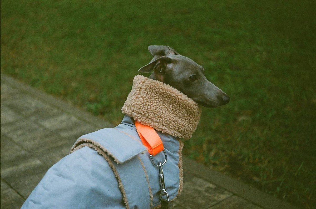 Первый снимок