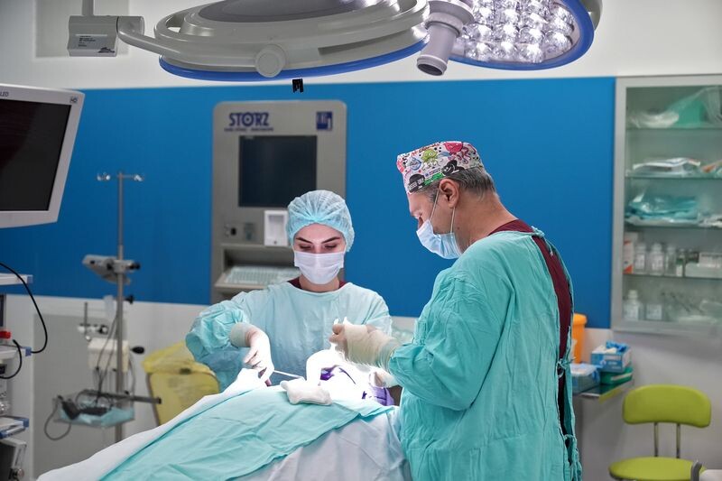     / Источник: © ИЗВЕСТИЯ/Эдуард Корниенко