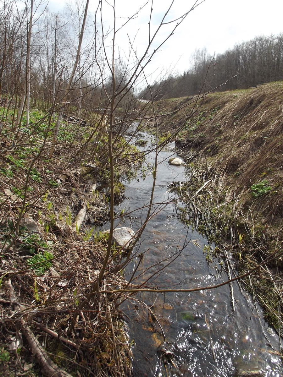 Канава вдоль дороги