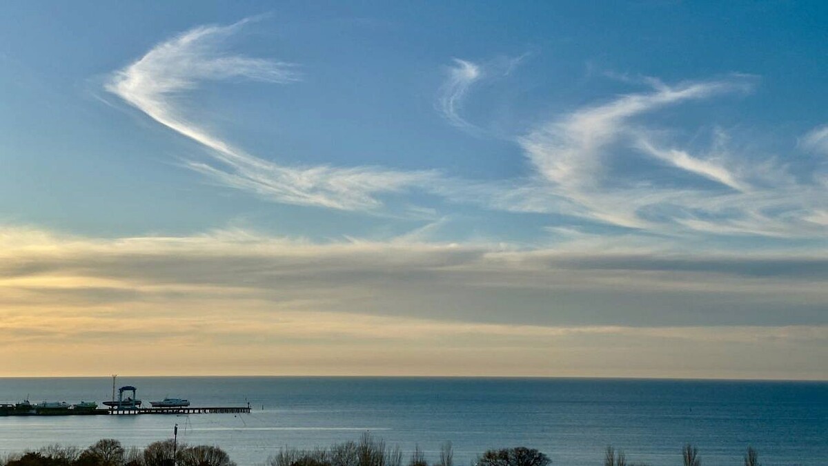    Фото: телеканал «Краснодар»