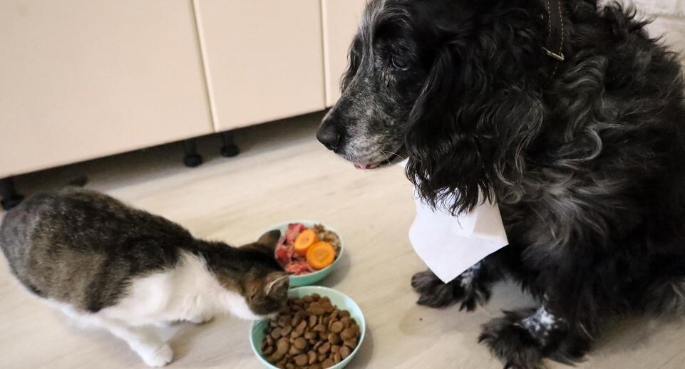    Elena Mayorova / Global Look Press