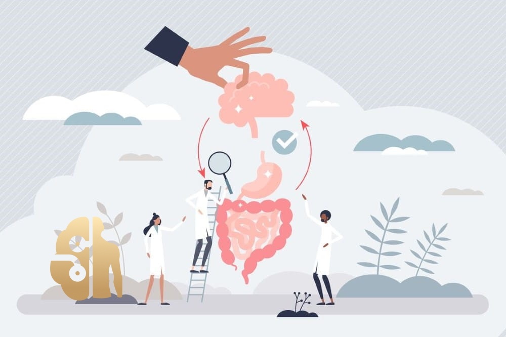 Научный обзор: нейроинтуиция и принятие решений