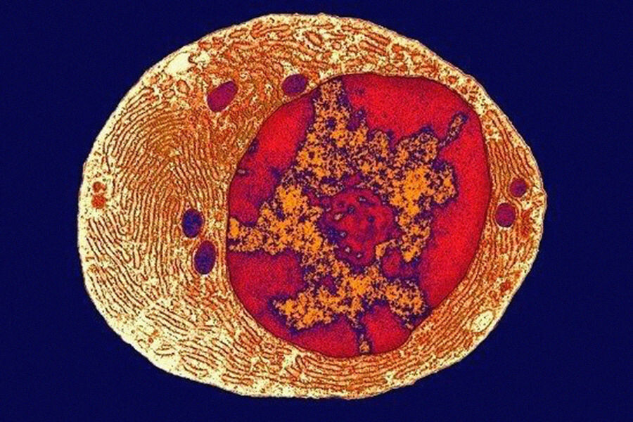 Гипотетический вид LUCA