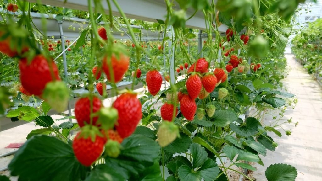 Фото из архива