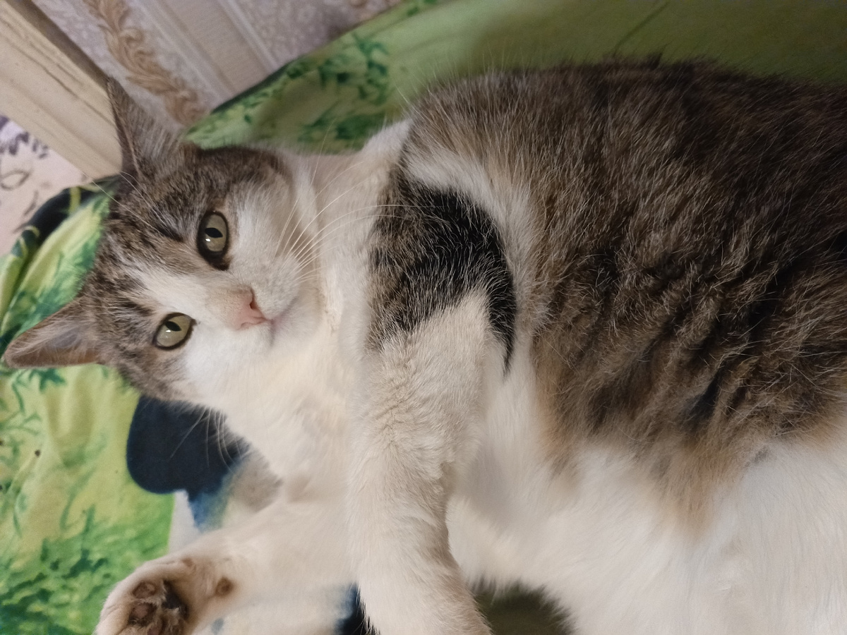 Фото автора