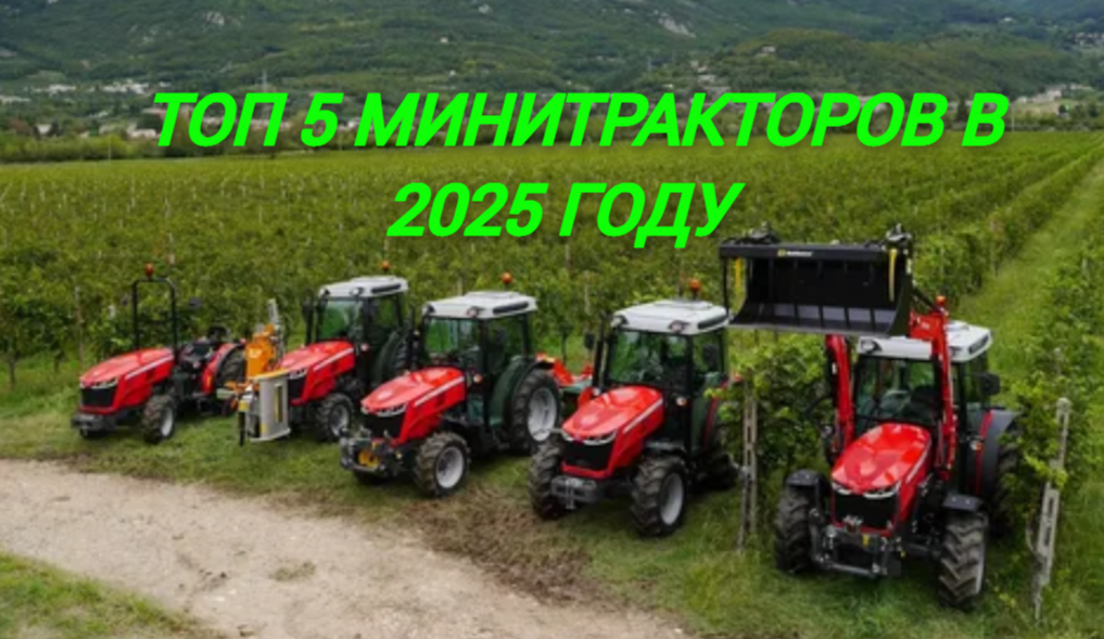 фото источник интернет