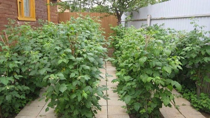 Фото с pinterest.com