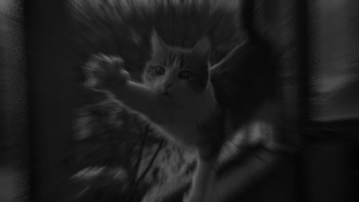 Не отчаивайся, котёнок, я всегда буду рядом!