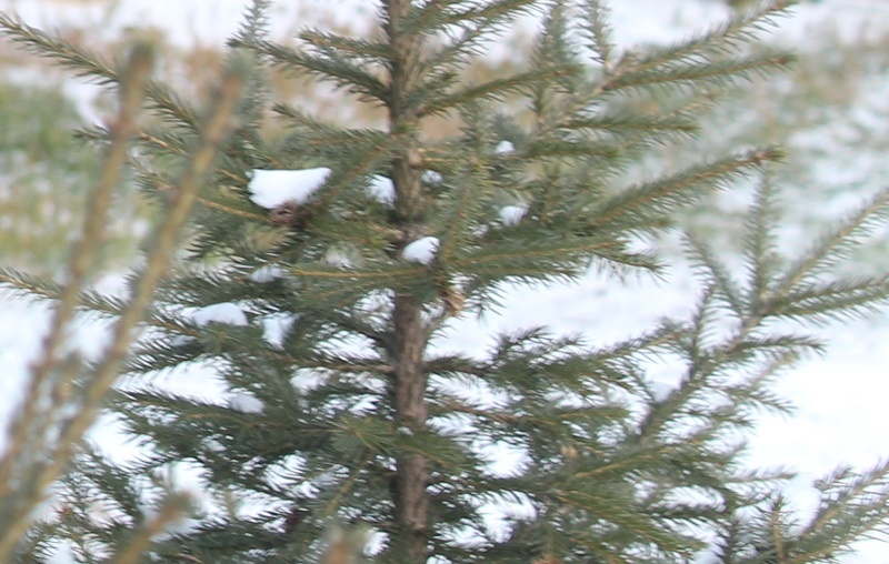    Фото из архива редакции