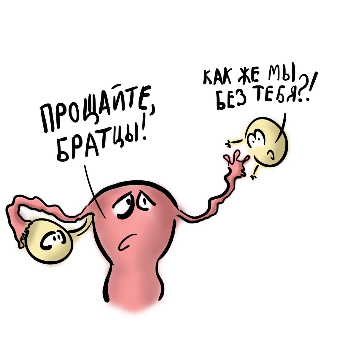 Матка прощается с яичниками