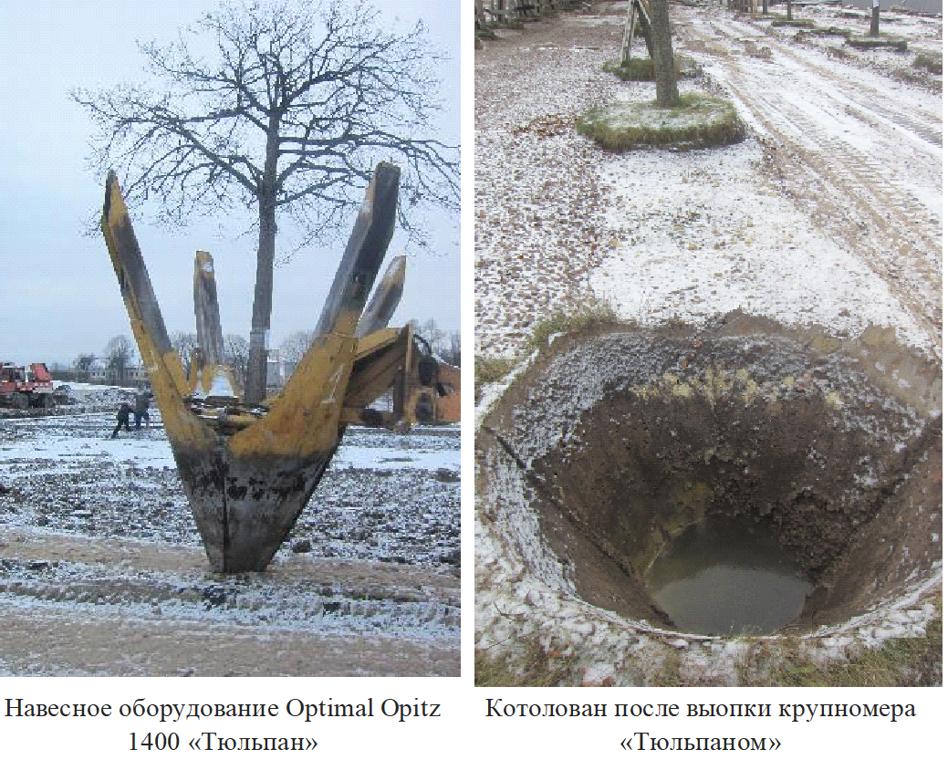 Пересадка крупномерного дерева механизированным комплексом "Тюльпан" на тракторе. Кругозор проектировщика