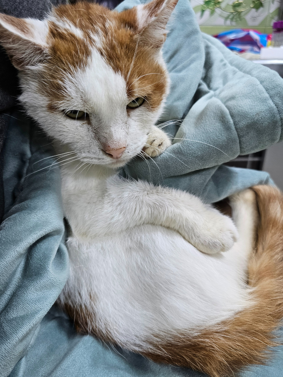 Фото автора. Боинг.