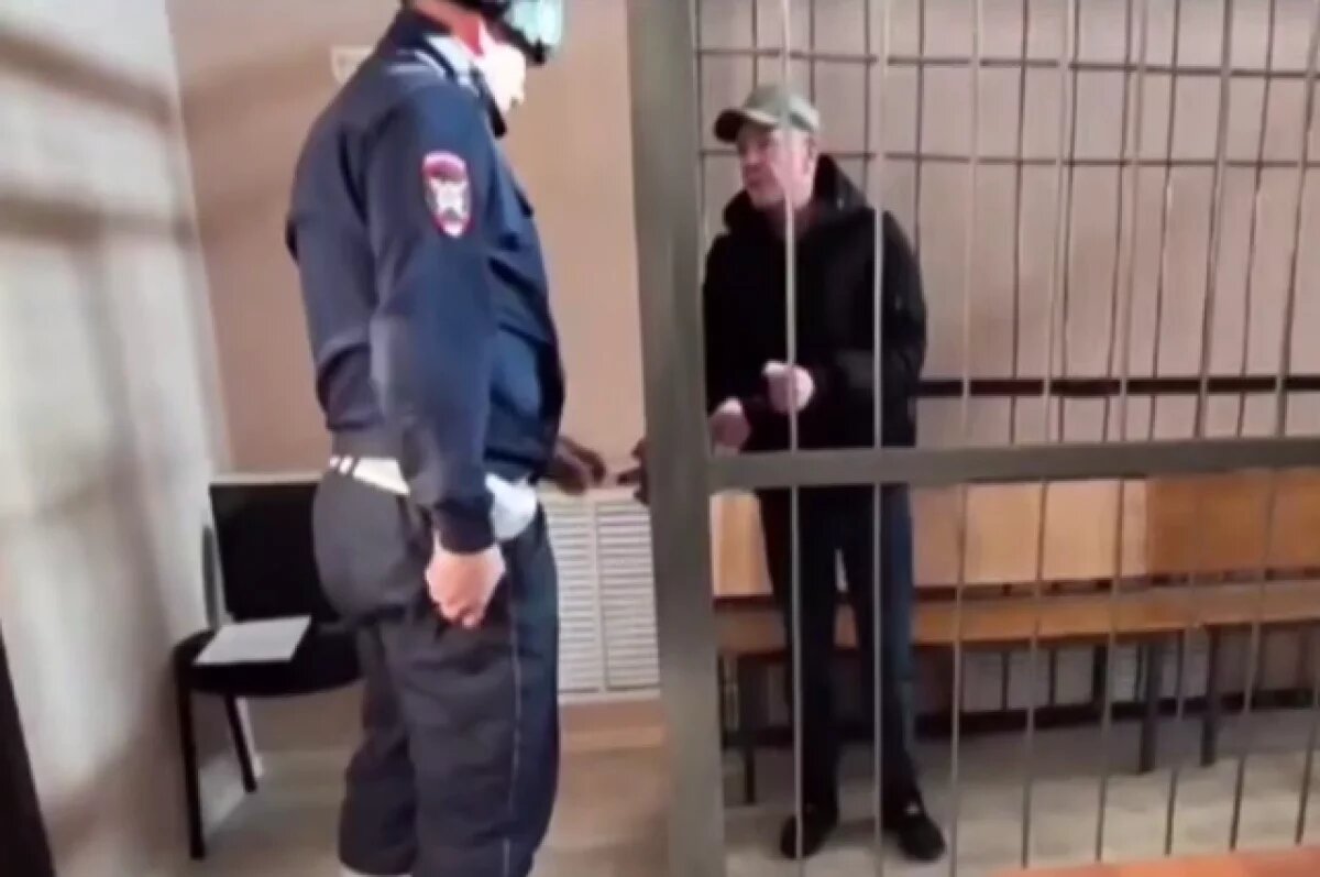    Плотникова задержали, но затем отпустили под домашний арест.