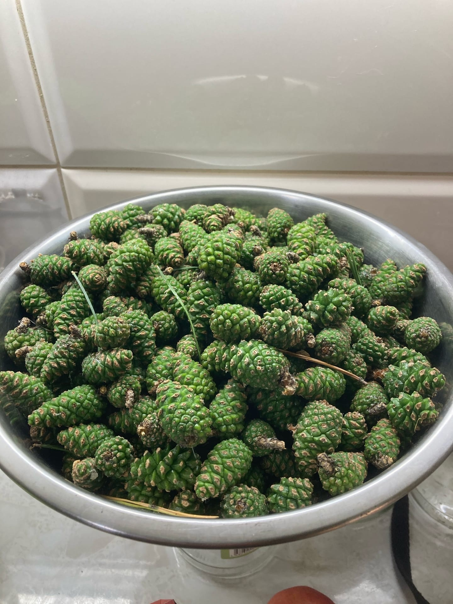 Заготовленные шишки