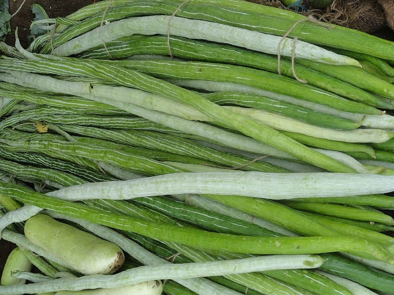 Незрелые плоды огурца змеевидного сочные и хрустящие