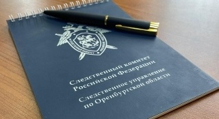    Начальнику Пономаревского районного участка электросетей вынесут приговор за мошенничество Кристина Просвиркина