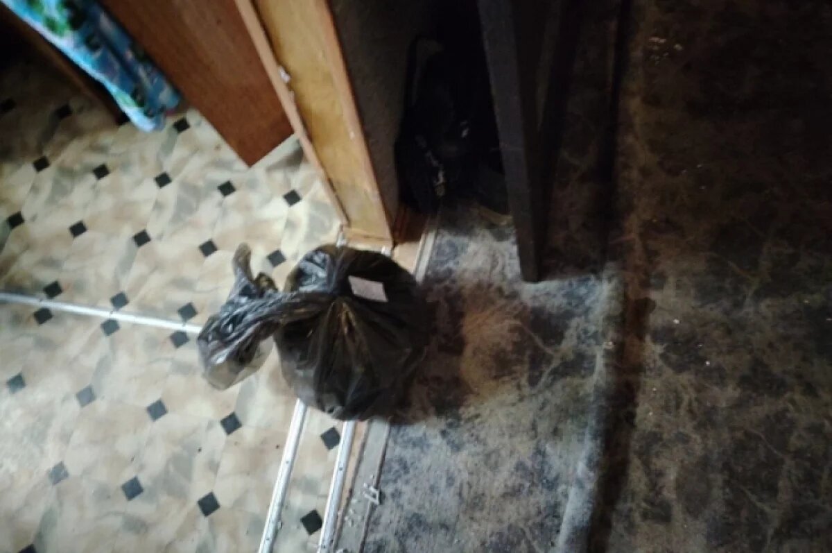    «Ботаник» из Хабаровского края не поделил с полицией запасы конопли