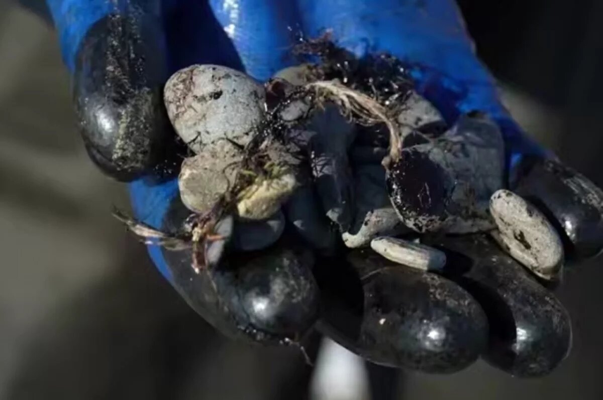    В Анапе тестируют новый метод очистки гальки от мазута