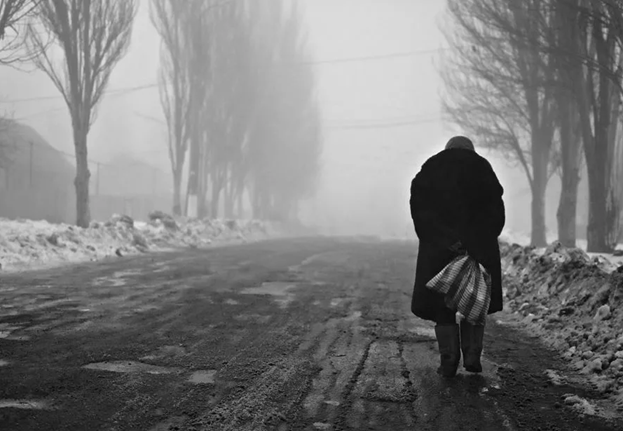 Фото находится в свободном доступе в Интернете