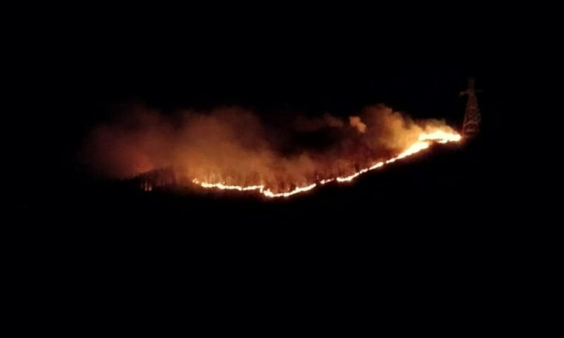    Фото t.me/krd_klpc