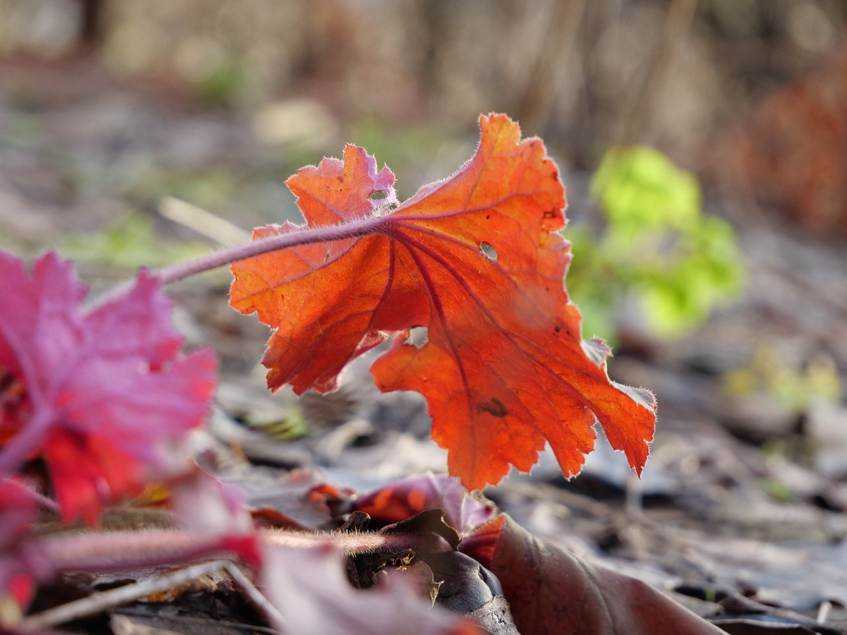 Дата съемки: 2 января