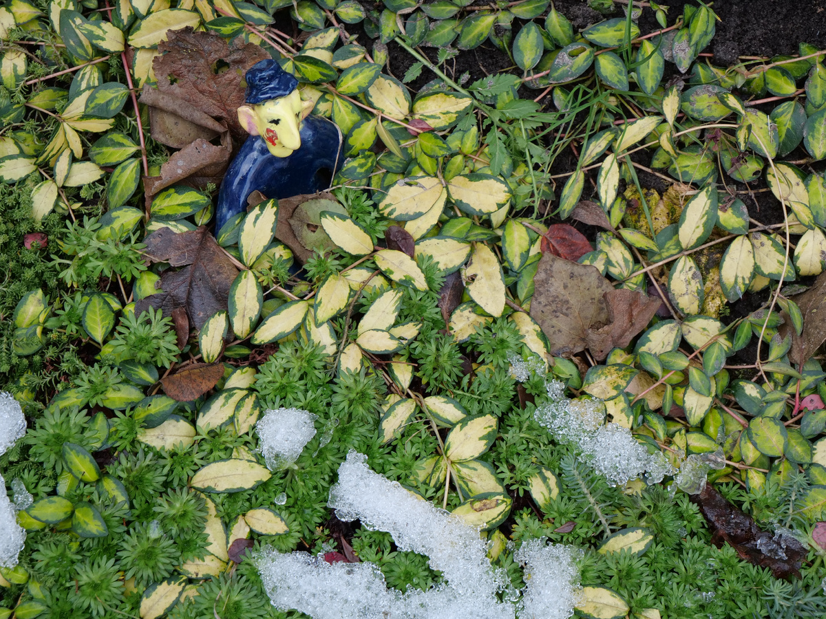 Дата съемки: 2 января