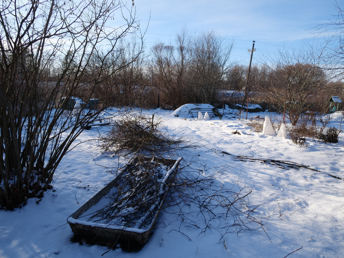 Это будет совсем скоро измельчено. В прозрачном саду видно железную дорогу. 