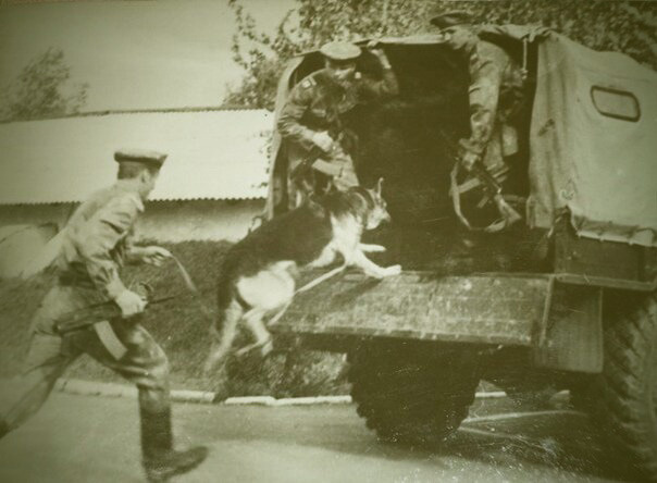 Тревожная группа выезжает по сработке