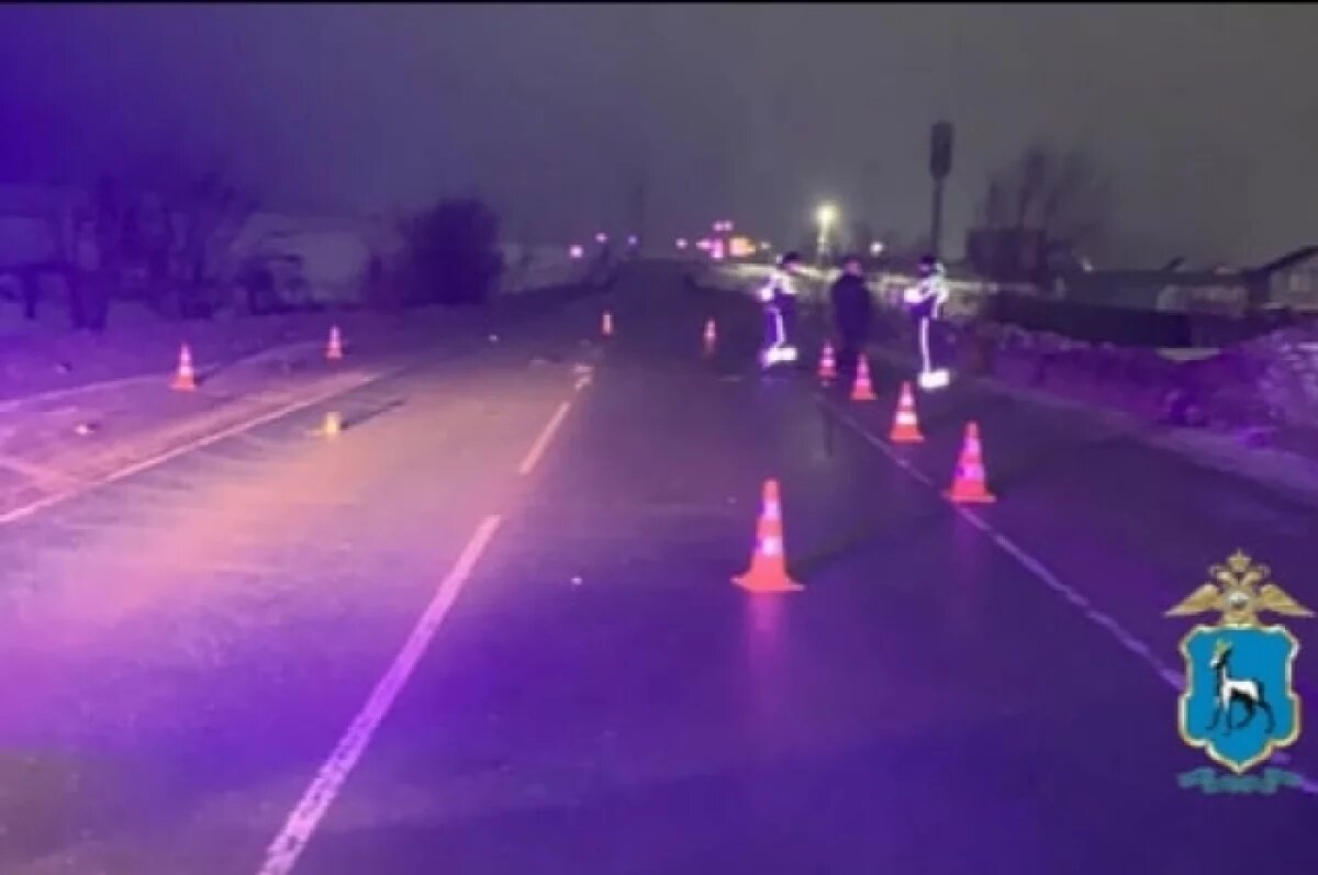    Полиция ищет водителя, сбившего насмерть мужчину под Самарой 31 января