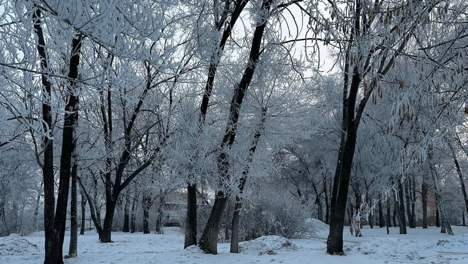     Источник: vostokmedia.com