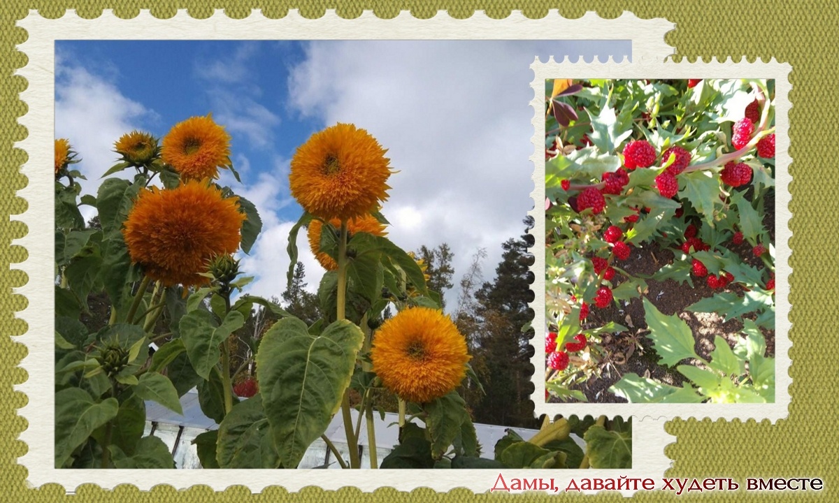 фото Любы Суворовой - прекрасные мгновенья