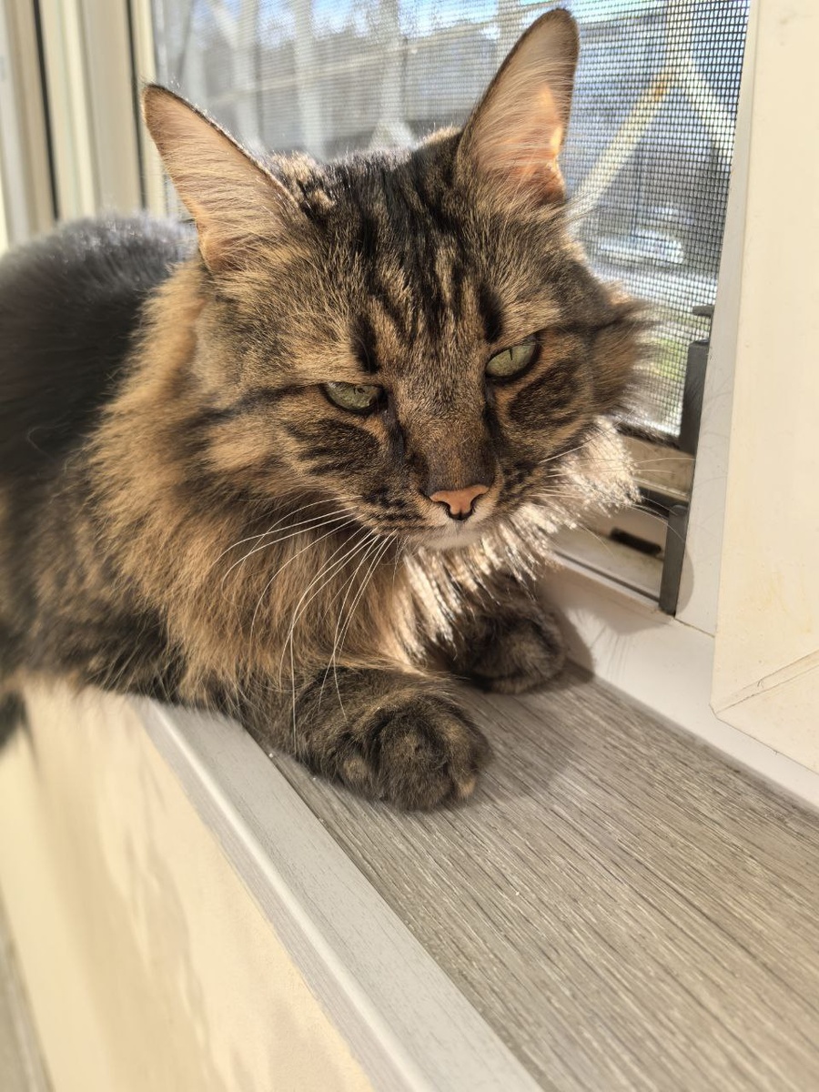 Ну сколько можно меня снимать?