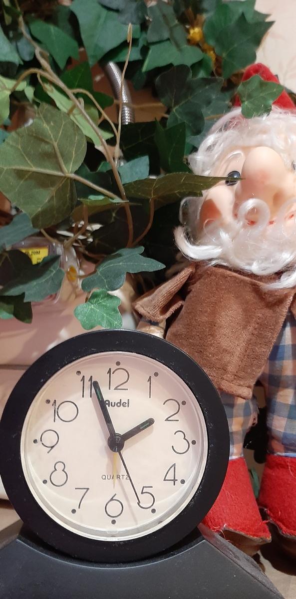 Сейчас я их на кухню переставила